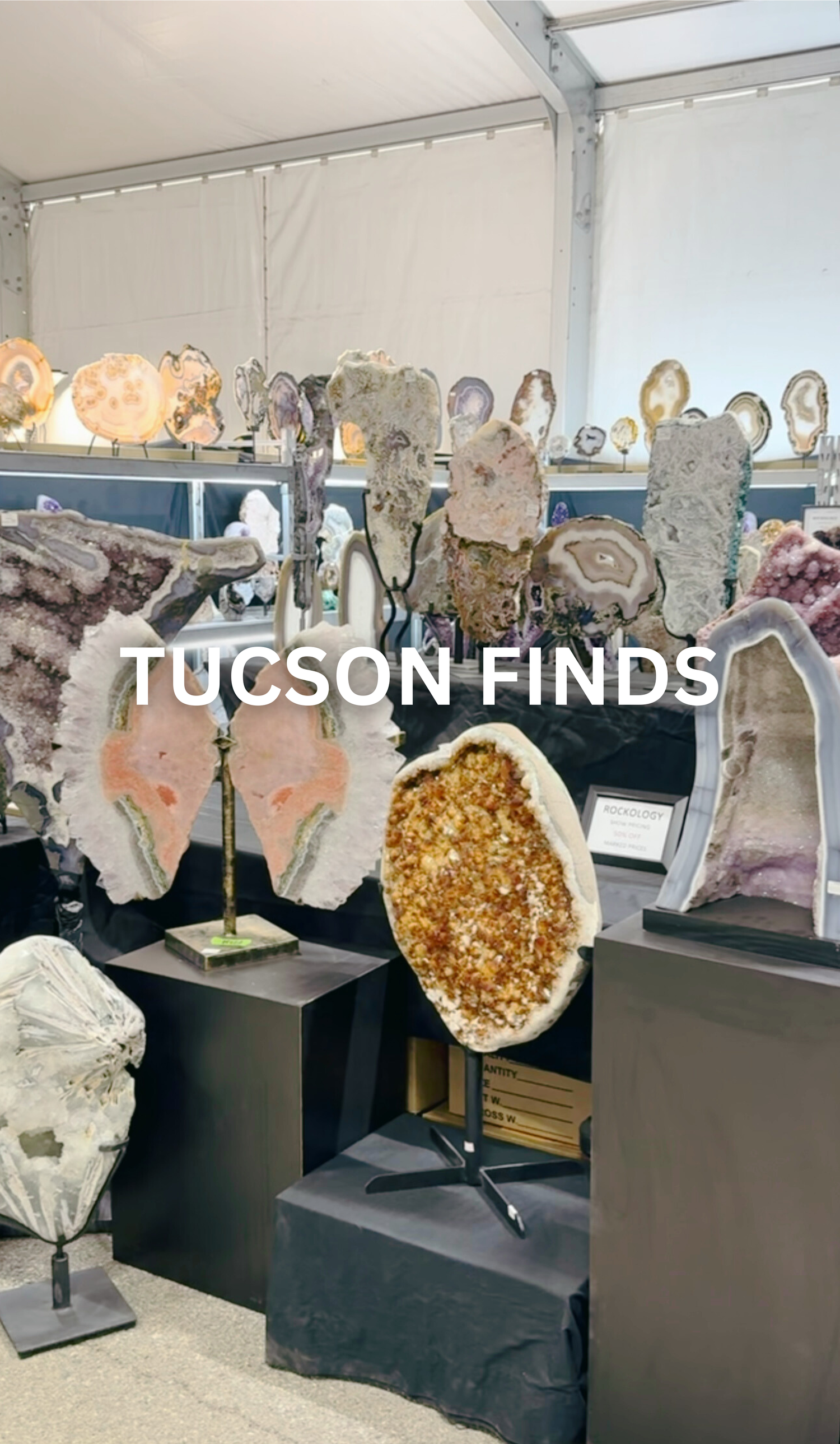 Tucson Finds 🌴